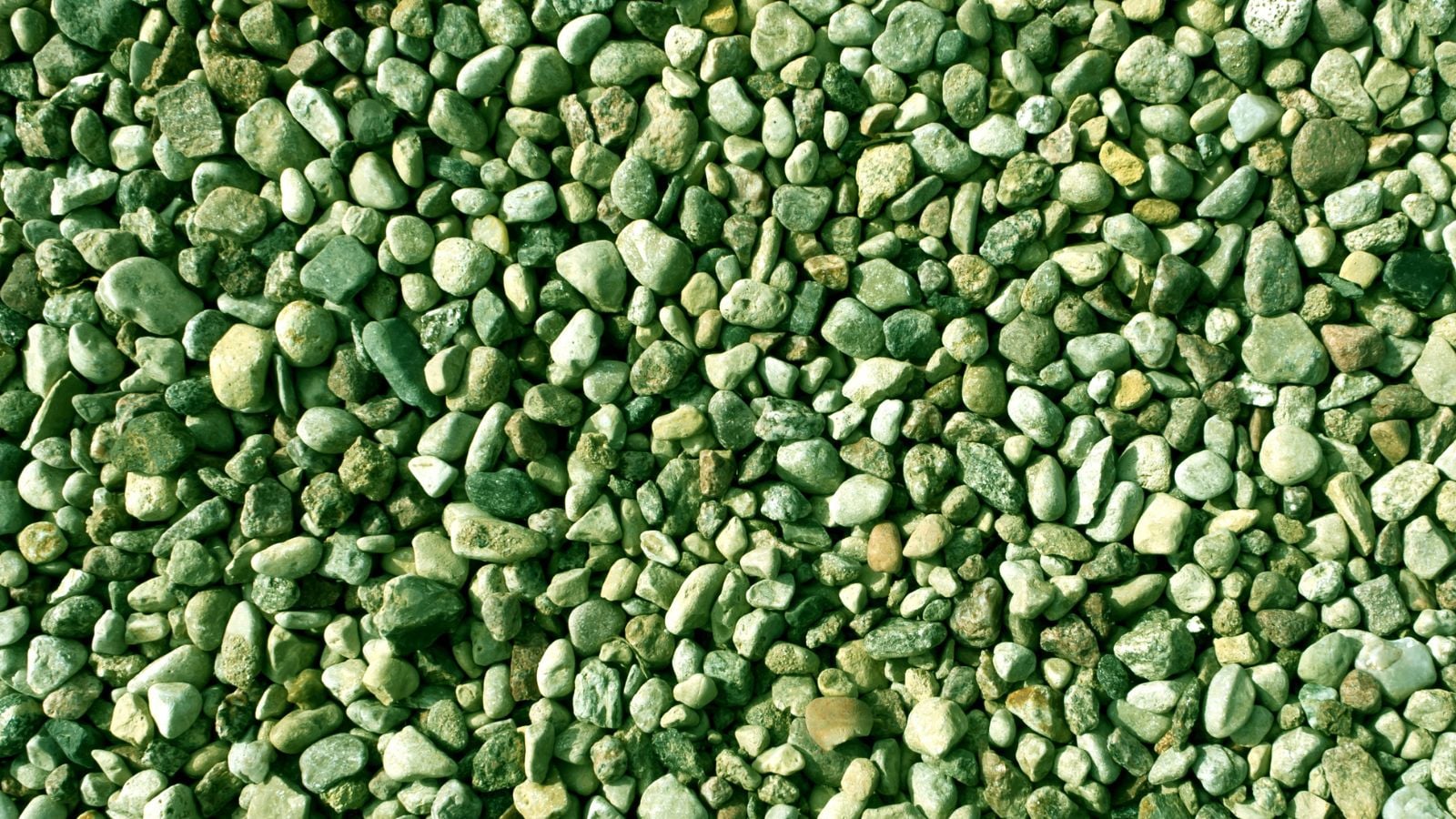 An overhead and close-up shot of green colored pellets of a glauconite, all situated in a well lit area