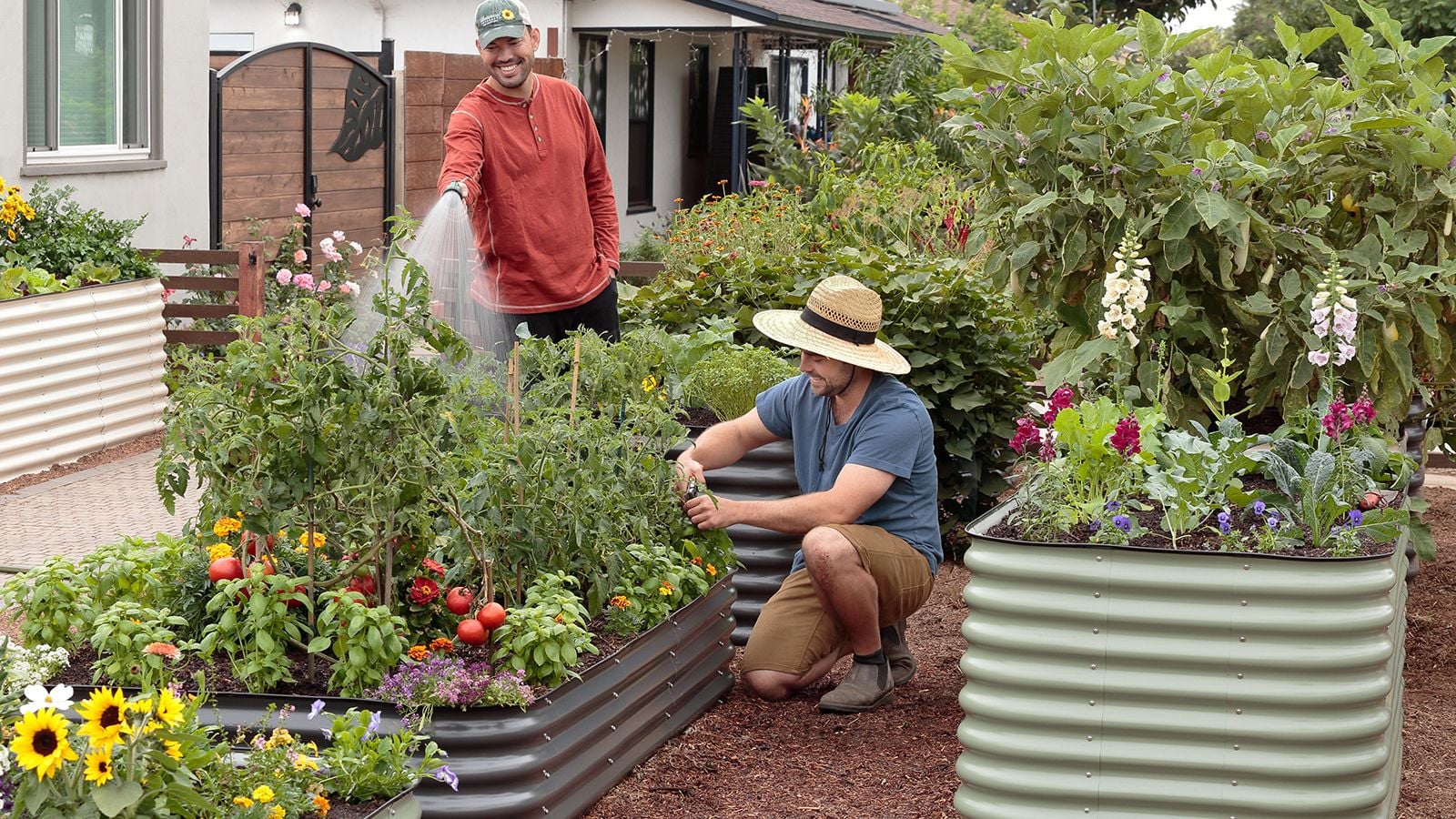 How to fill a tall raised garden bed, showing an area with multiple metal raised beds as two gardeners work on the plants