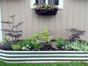 A shot of a metal bed that showcases galvanized steel garden beds safe