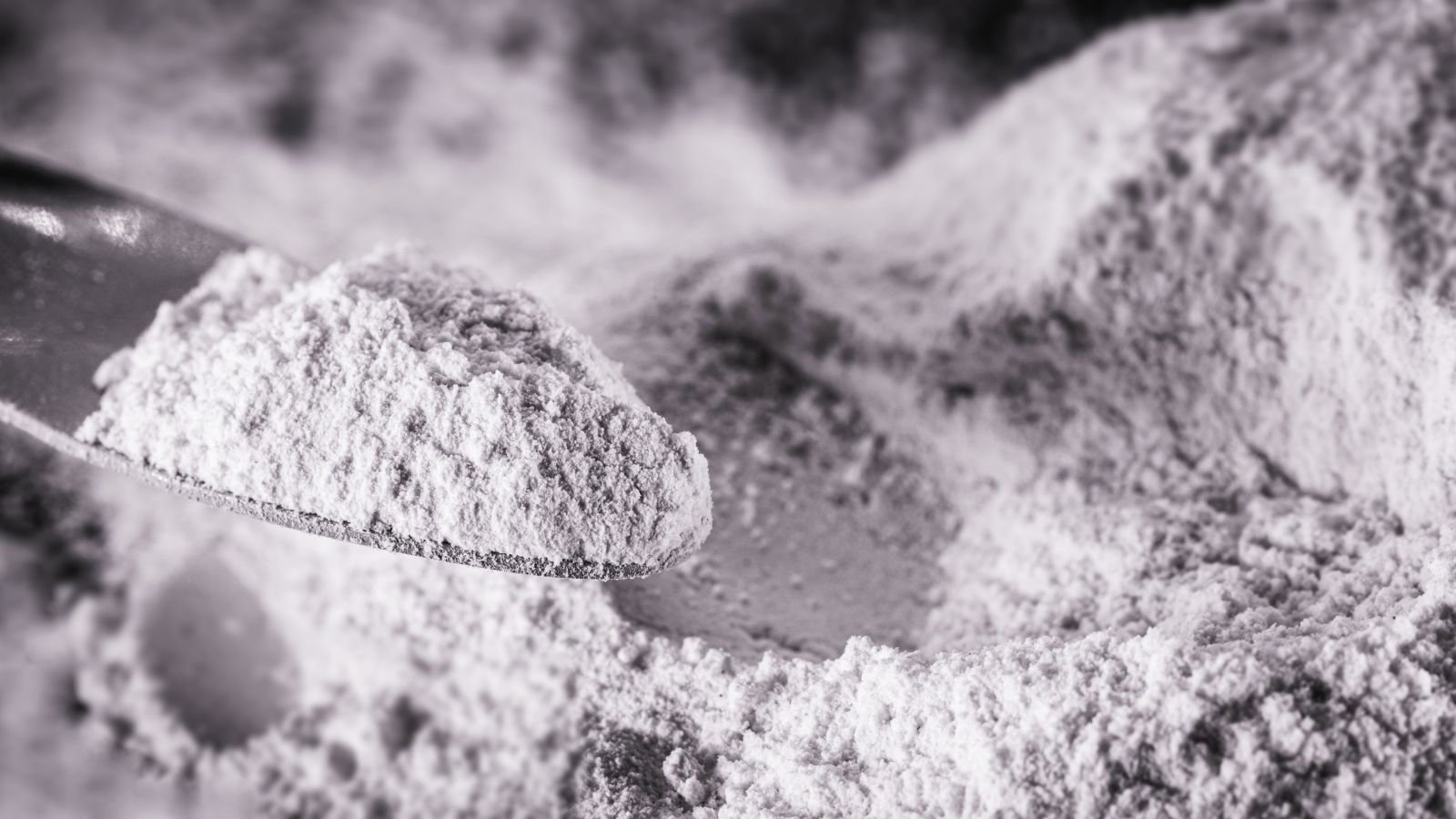 A pile of white dust made of rock phosphate meant to be fertilizer being scooped by a metal scooper