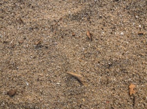 Sandy soil