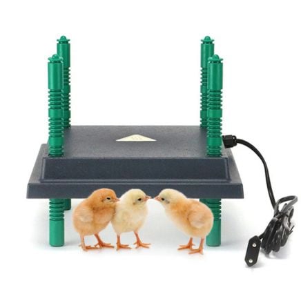 Farmight Chick Brooder Heater Plate, Adjustable Height