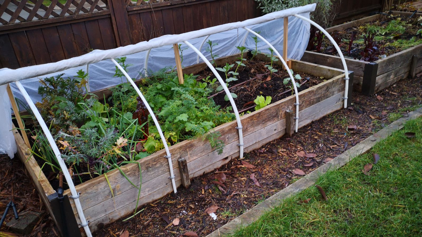 A close-up shot of an elevated planter with a retractable protection, a variation of a hoop house, all situated in a well lit area outdoors