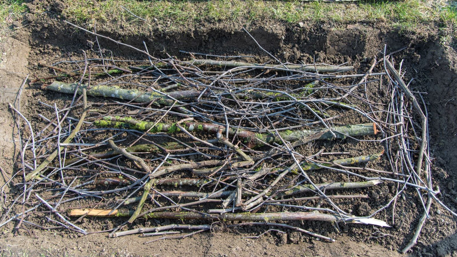 A close-up and overhead shot of a large composition of piles of dead wood. all situated in a well lit area outdoors