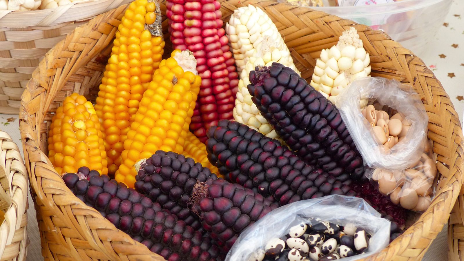 A shot of several crops on a woven basket, showcasing types of corn