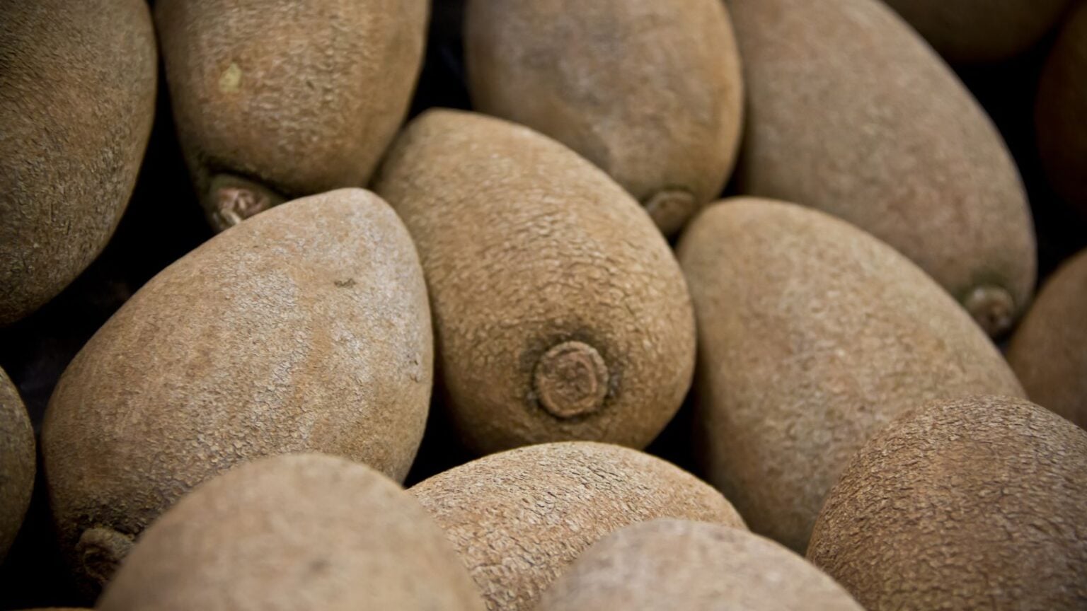 How to Plant, Grow, and Care for Mamey Sapote