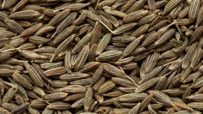 A pile of whole Cuminum cyminum appearing to have various shades of brown placed under bright light with each piece placed on top of one another