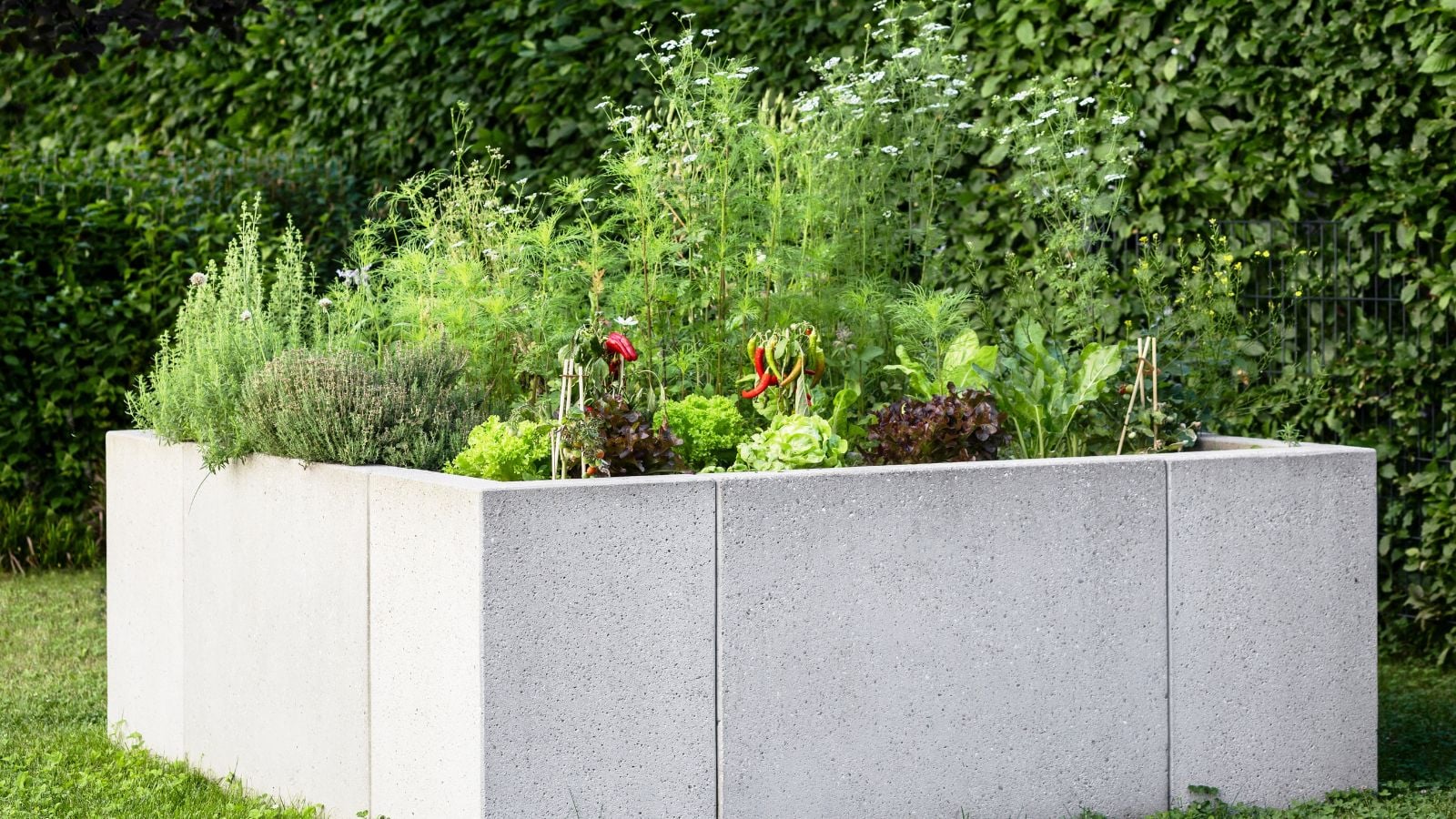 A close-up shot of large container filled with plants and flowers, showcasing raised bed on concrete