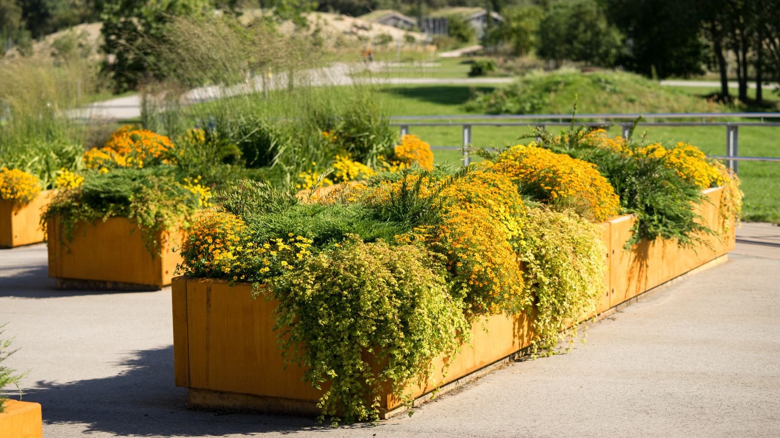 A shot of a composition of solid large containers, fileld with plants and flowers, showcasing raised bed on concrete