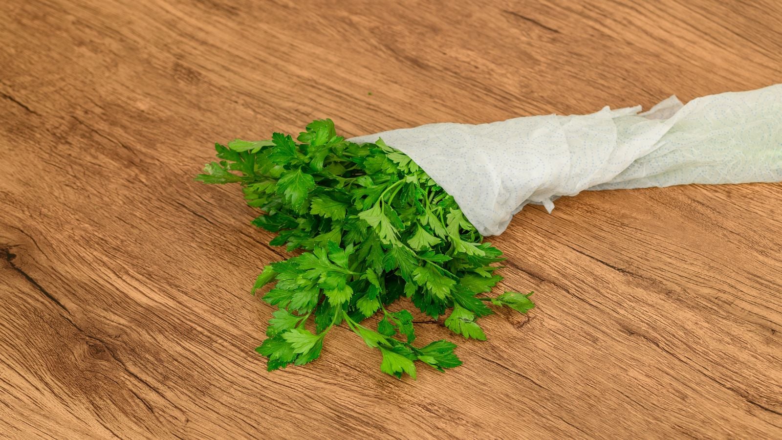 Recently harvested herbs wrapped in paper towel, placed on a wooden surface somewhere bright with lots of light