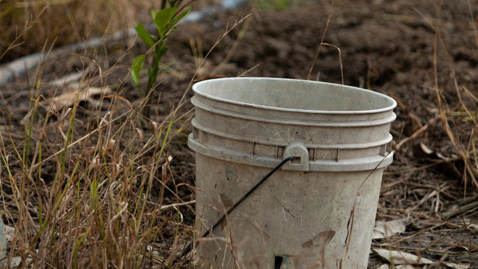 A close-up shot of a white colored 5-gallon container, placed on a garden area outdoors