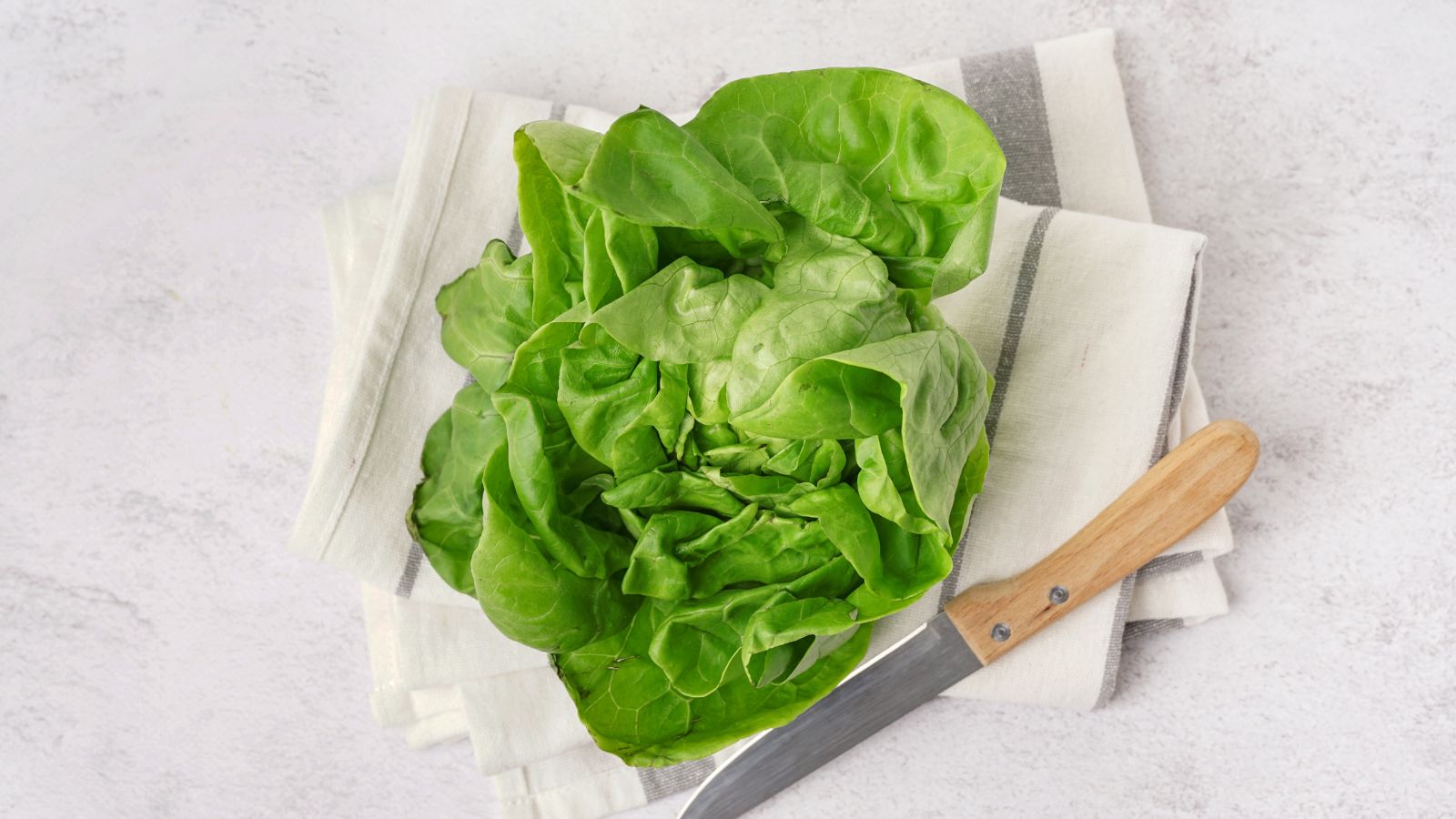 An overhead and close-up shot of a freshly picked leafy green crop placed on a table cloth, alongside a knife, all situated in a well lit area indoors
