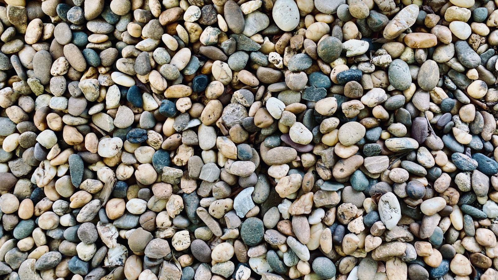 A close-up shot of a large composition of small rocks of the Pea Gravel, all situated in a well lit area outdoors 