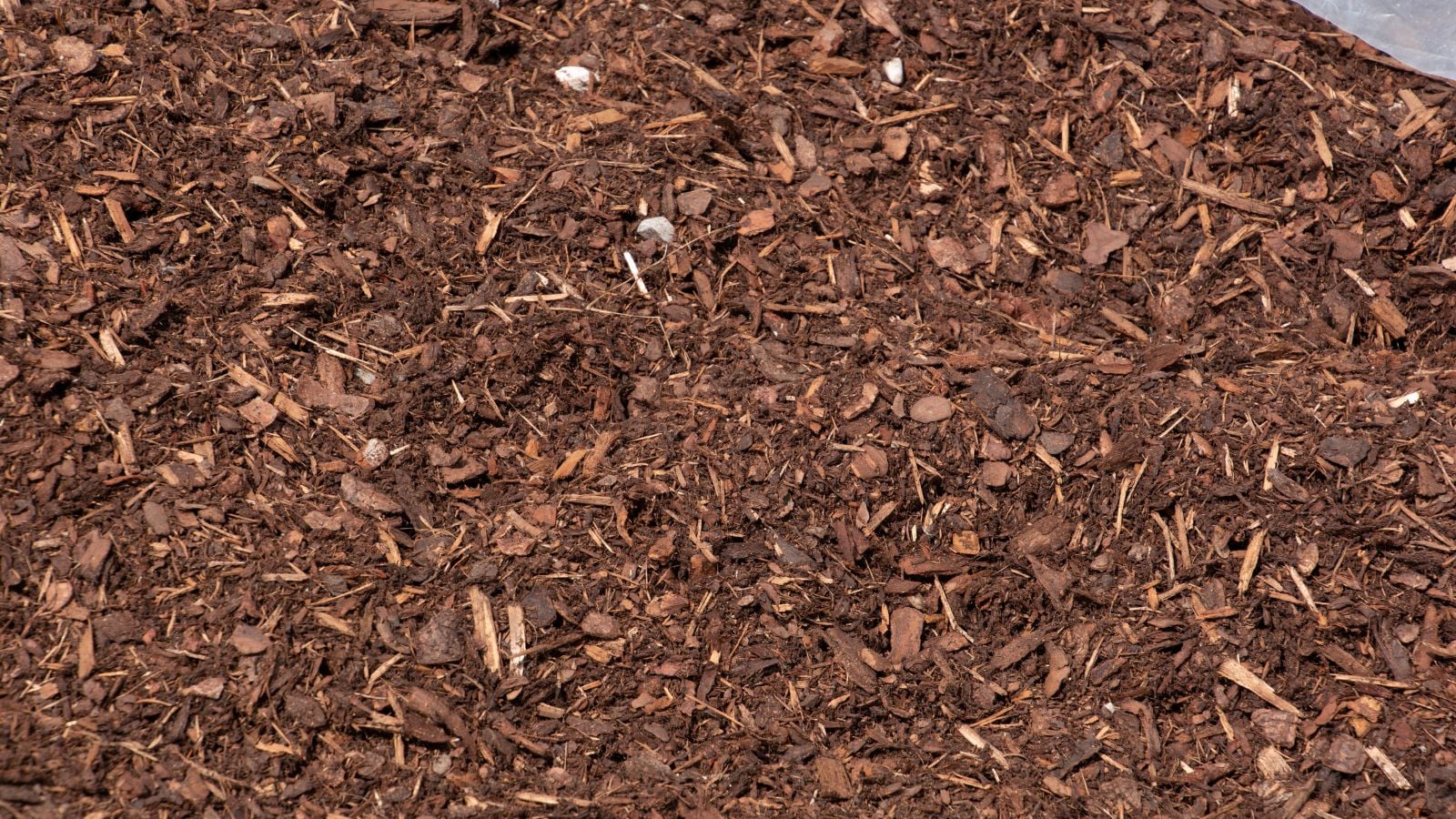 A close-up and overhead shot of shredded bark, placed on top of rich soil as an amendment, all situated in a well lit area outdoors