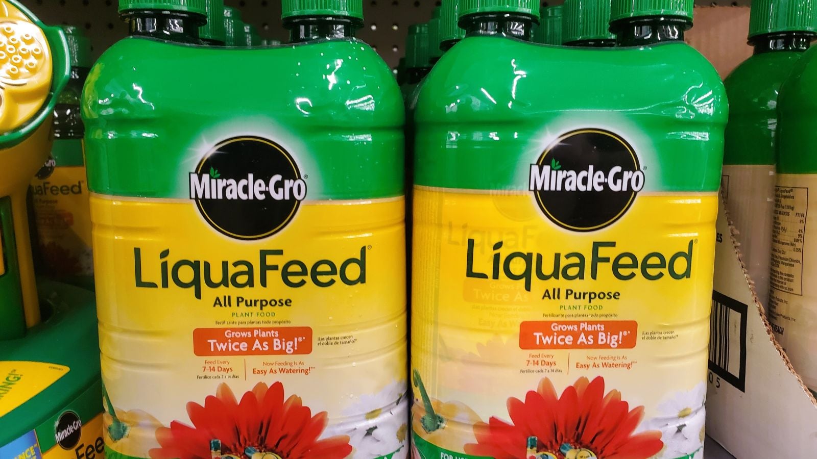 A close-up shot of several containers of a branded plant food, placed in a metal store shelf
