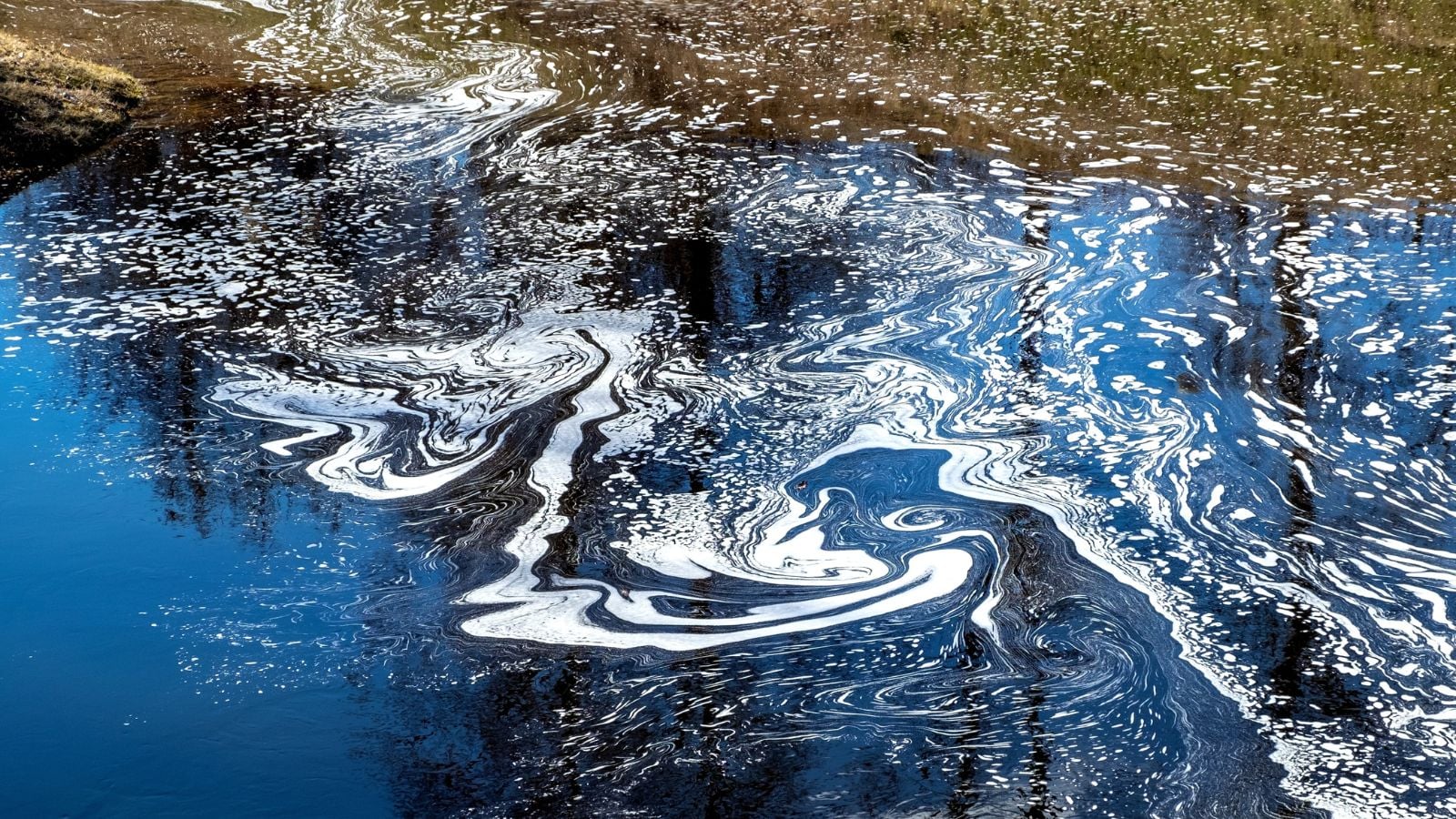 An overhead and close-up shot of a water polluted by chemical or synthetic fertilizers