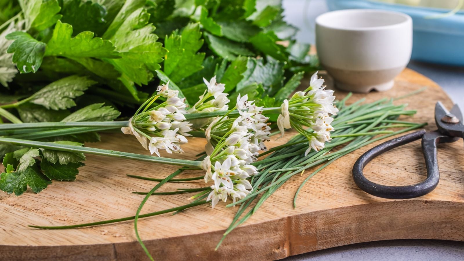 Cut pieces of Tulbaghia violacea and other herbs, placed on a wooden cutting board with other herbs beside a pair of scissors