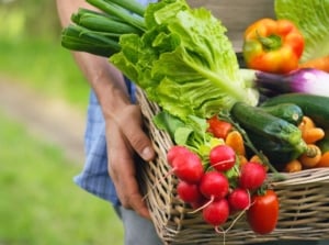 A close-up shot of a person, in the process of holding a large basket filled with harvested crops, showcasing the easiest vegetables to grow