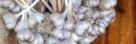 Bundles of curing garlic being hung from somewhere high up with a wooden wall in the background placed somewhere with light