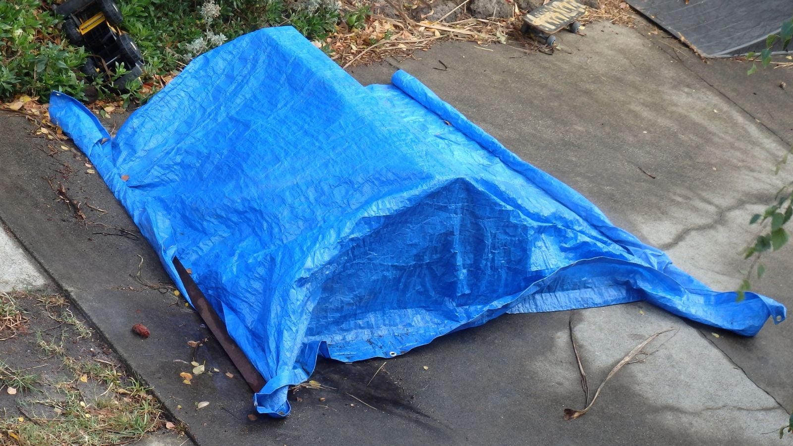 A close-up and overhead shot of a blue tarp, covering plants, all situated in a well lit garden area outdoors