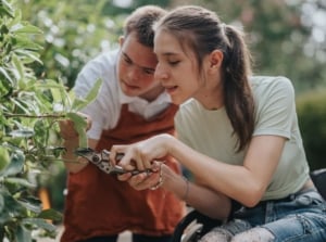 People working in the garden, showing wheelchair gardening, with a woman holding pruners to trim back a plant