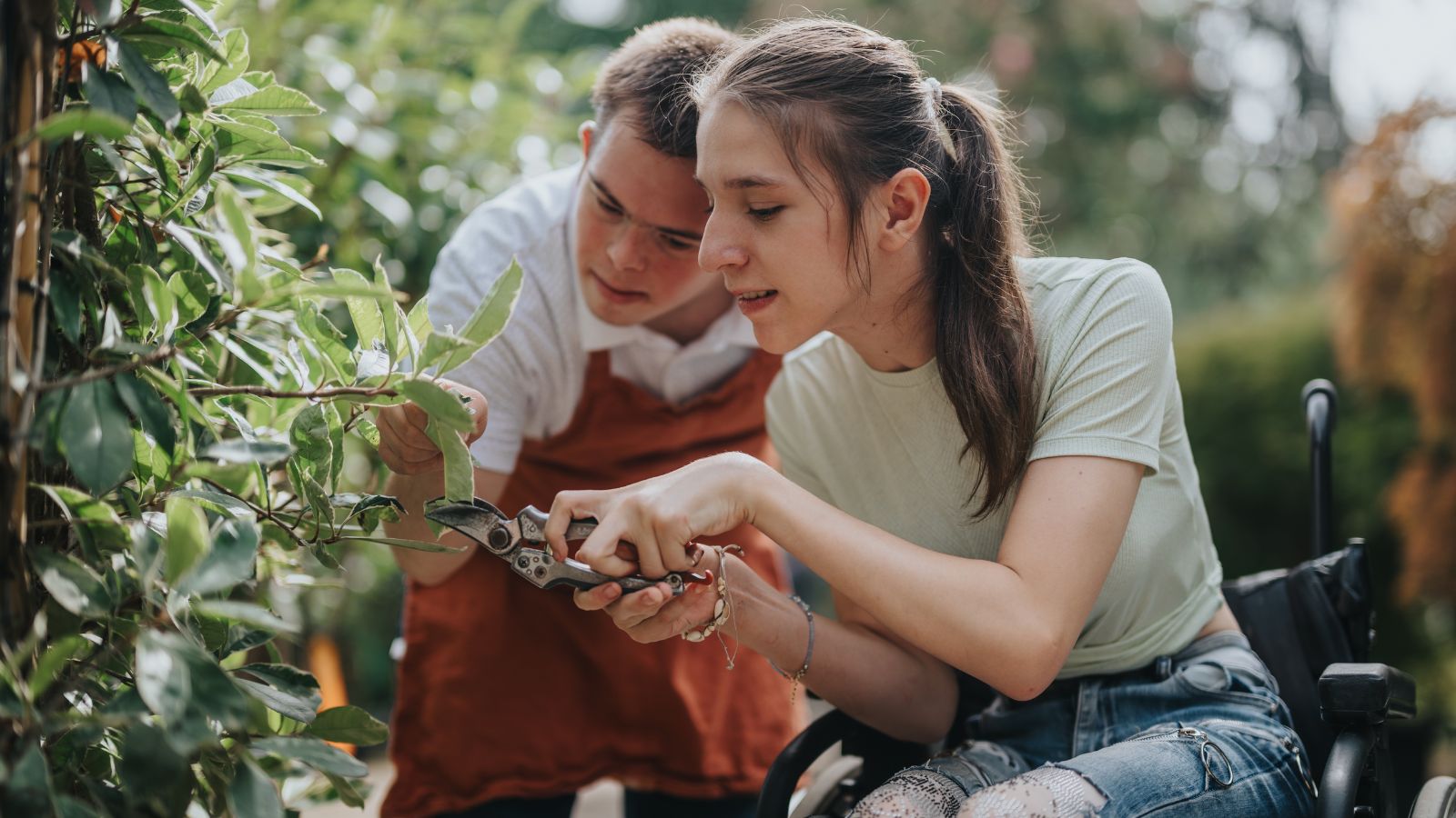 People working in the garden, showing wheelchair gardening, with a woman holding pruners to trim back a plant