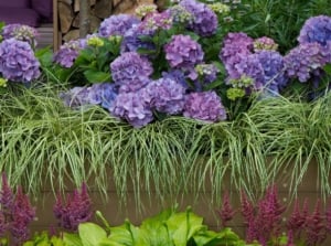 A close-up shot of a composition of vibrant flowers and other green foliage, showcasing hydrangea companion plants
