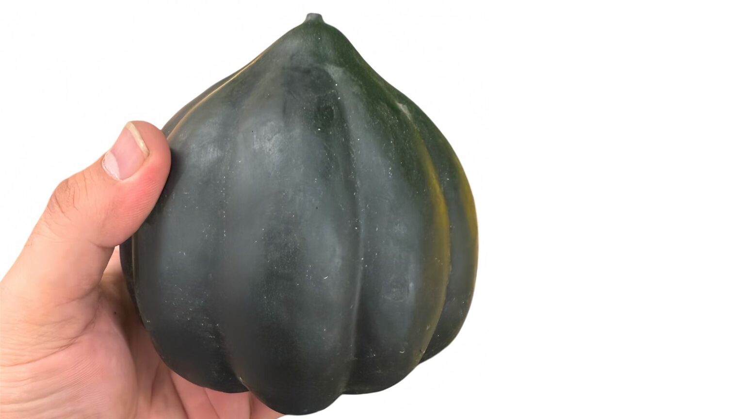 When and How to Harvest Acorn Squash
