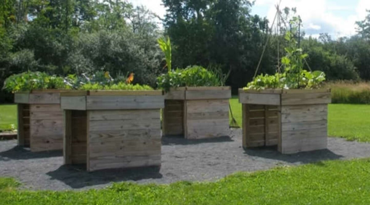 Wheelchair Accessible Garden Beds Seated Options Epic Gardening