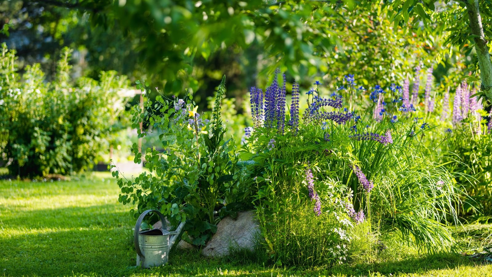 Planting Shade Perennials: Top Tips for Lush, Low-Light Gardens