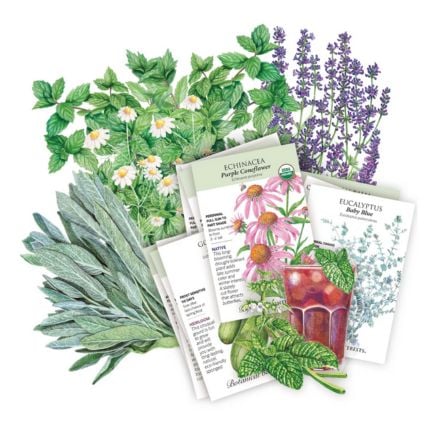 Treat Yo Self Seed Bundle