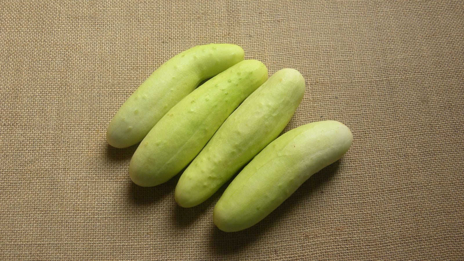 Four pieces of Miniature White crops appearing to have a pale green hue placed on a brown cloth surface somewhere dim