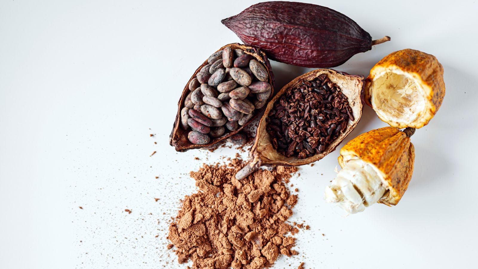 Multiple pieces og Theobroma shot from above placed alongside with processed materials, including powder and dried seeds