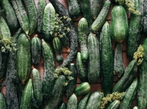 Multiple pieces of different cucumber varieties, placed on a brown surface appearing healthy and ripe placed somewhere shady