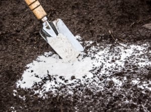 A shot of a shovel with dolomitic lime that provides calcium in Soil