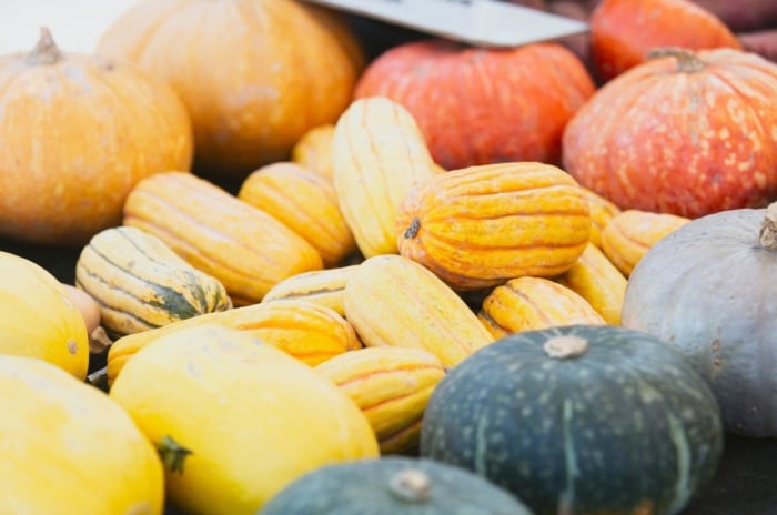 An area with poles of winter squash varieties, appearing to have different shapes, colors and sizes placed somewhere sunny