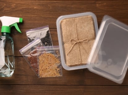 A collection of planting supplies laid out on a wooden table, including a spray bottle, small compressed soil discs, a clear plastic container, and twine-tied paper squares, which are microgreens supplies