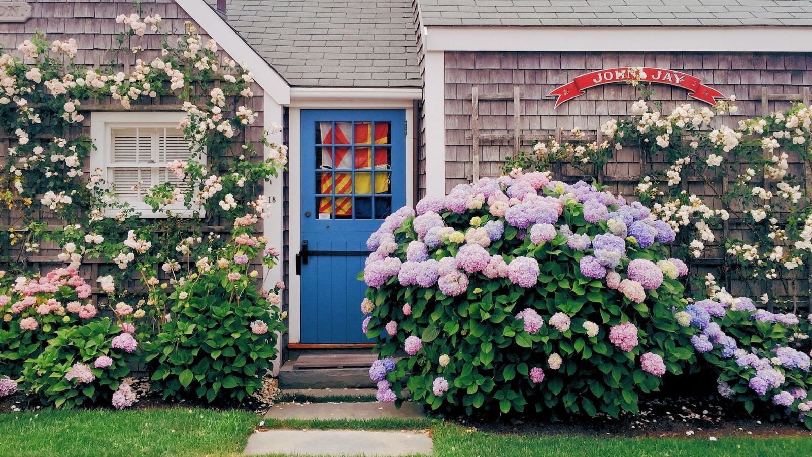 A close-up shot of several developing flower shrubs placed near a home
