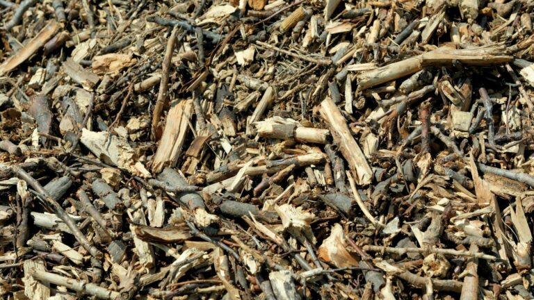 Ramial Chipped Wood: How to Use it in Your Garden
