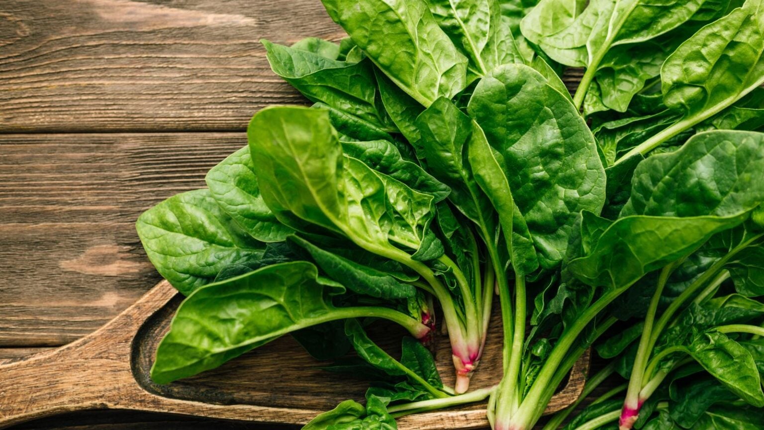 40 Types of Spinach For Your Garden
