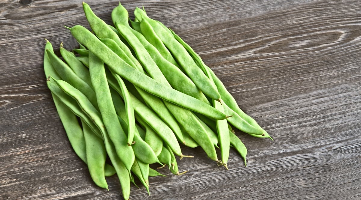 Close-up of a bunch of ripe Roma II bean pods on a wooden table. The pods are long, flat, narrow, have a rough texture and are pale green in color.