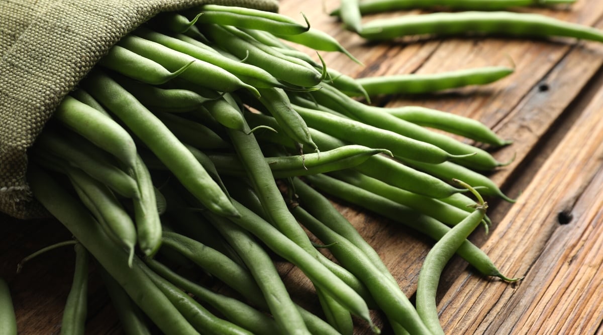 Close-up of Tavera beans collected in a small bag on a wooden table. The pods are long, cylindrical, straight, rich green in color with a smooth texture.