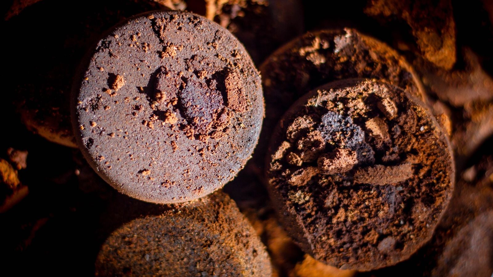 A surface containing garden coffee grounds appearing moist and spent placed somewhere shady with a source of bright light nearby