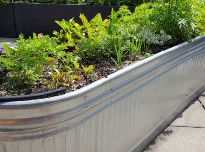 A close-up shot of a large planter, filled with soil and various crops, placed in a bright sunny area, showcasing metal raised beds heat