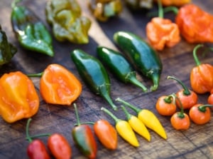 A wooden table with different types of hot peppers, appearing to have different colors, shapes and sizes laid somewhere with lots of sunlight