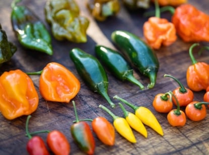 A wooden table with different types of hot peppers, appearing to have different colors, shapes and sizes laid somewhere with lots of sunlight
