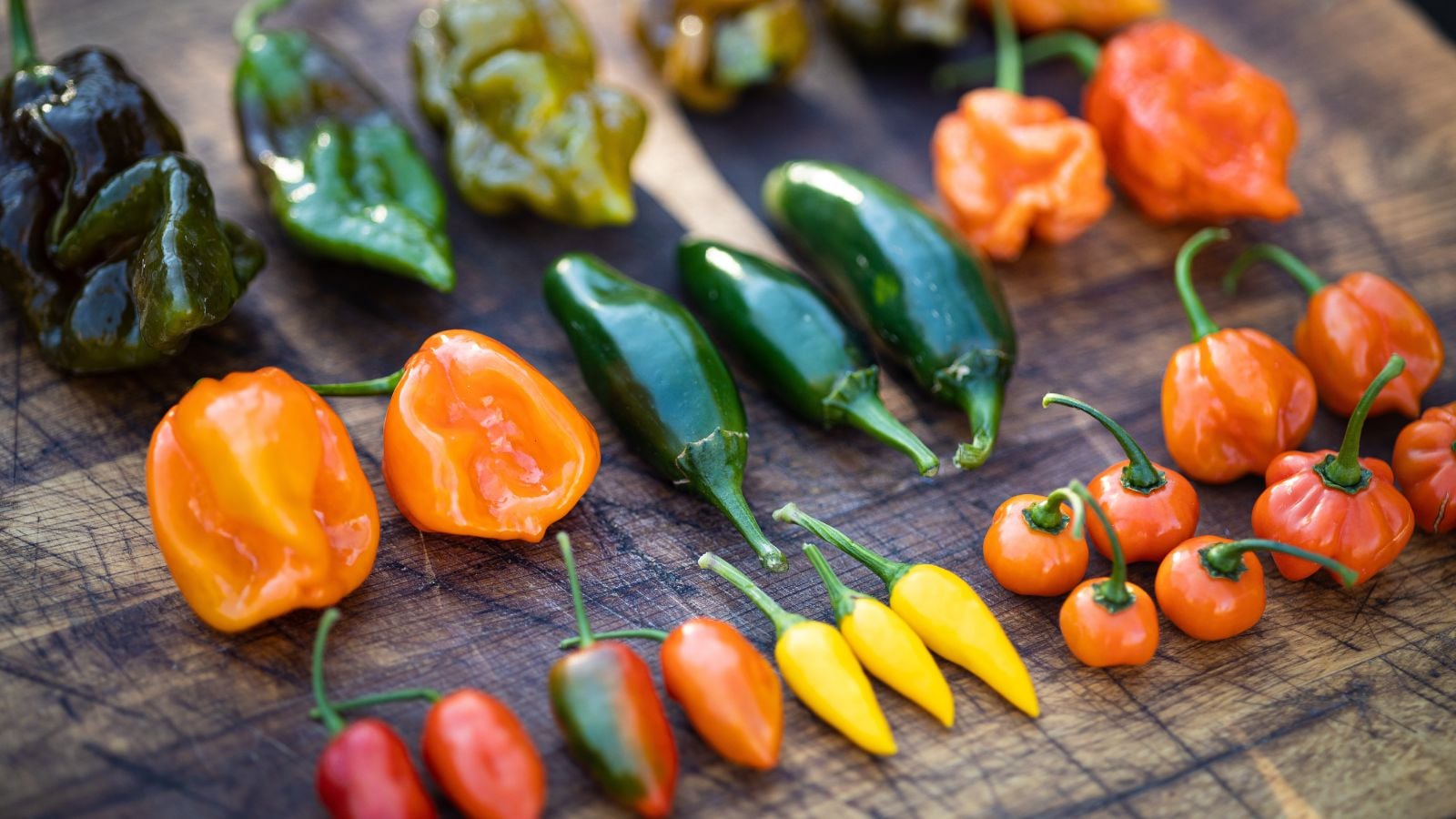 A wooden table with different types of hot peppers, appearing to have different colors, shapes and sizes laid somewhere with lots of sunlight