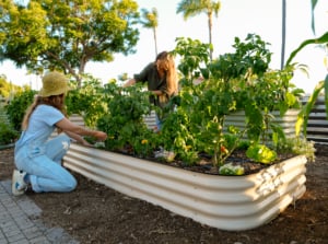 raised bed gardening benefits