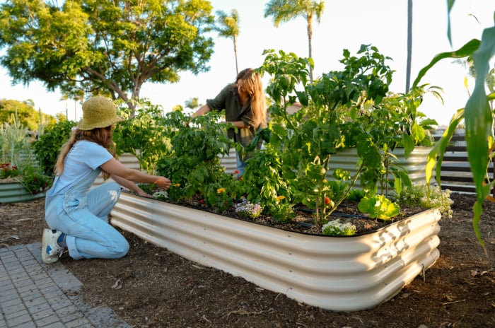 raised bed gardening benefits