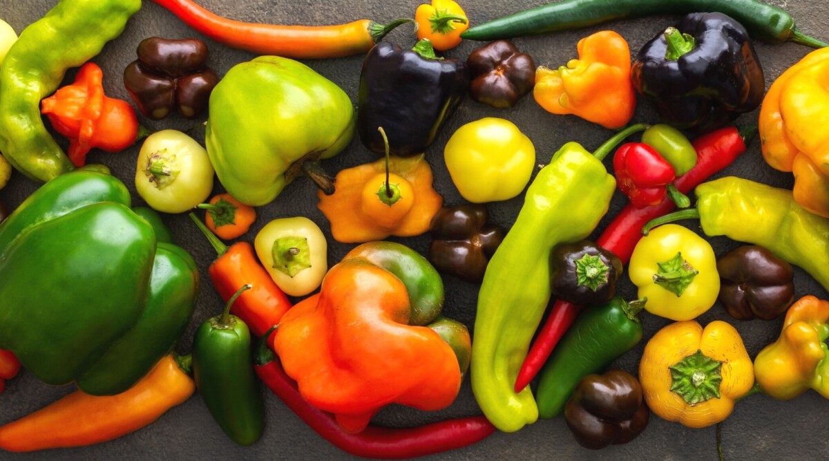 thumbnail image 2 of Mixed Sweet & Spicy Pepper Seeds - 50 Edible Exotic Vegetable Seeds 2 of 5